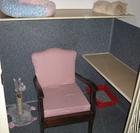 Hunter Pet Motel - Renee