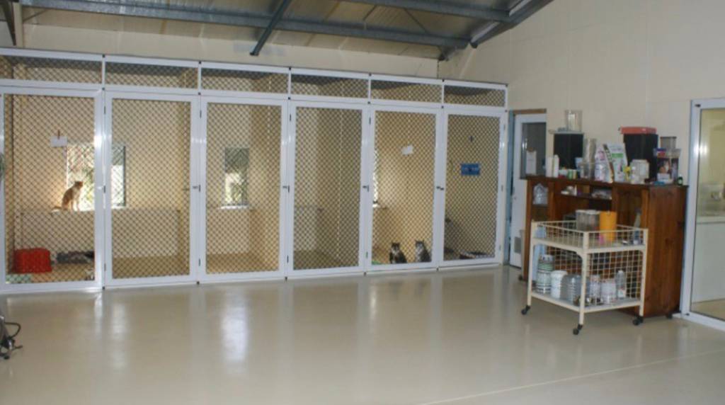 Cat Boarding Catteries Jensen QLD Renee