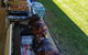 BIG Ronny’s Catering & Fussea Buggers - thumb 4