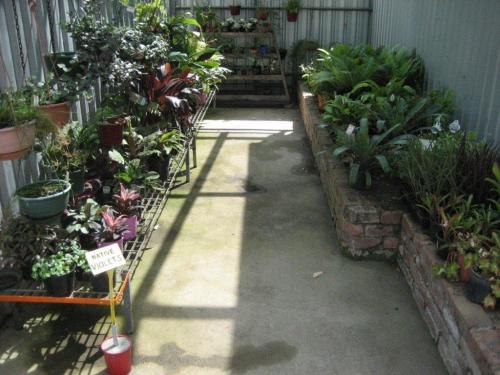 Garden Sheds Renee