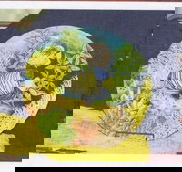 Hobby Ceramics - Qld Realsetate