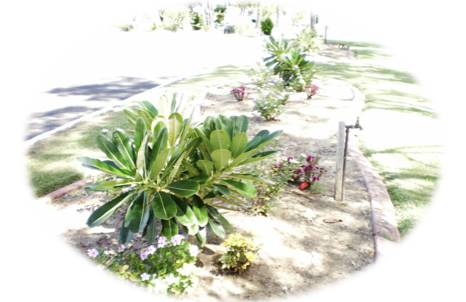 Rockhampton Crematorium - Renee 2