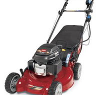 Jacksons Mower Centre - Internet Find
