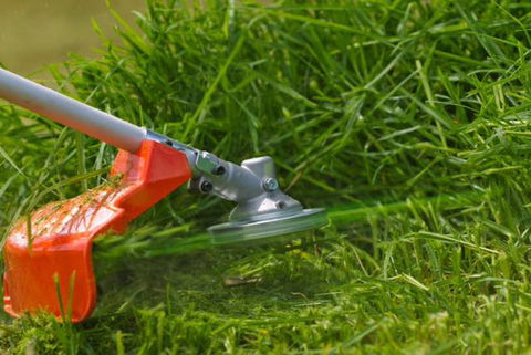 Steve’s Mowers & Outdoor Power Equipment - Renee 3