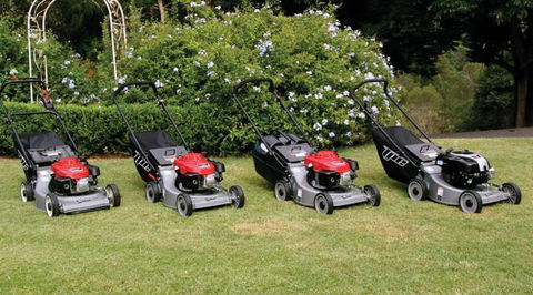 CBS Chainsaw & Brushcutter Specialists - Internet Find 2