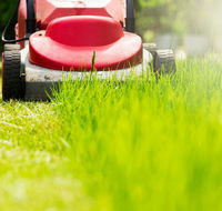 Professional Small Engines - Petrol Stations