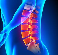 Earlville Chiropractic Clinic - Renee