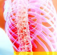 Beachside Chiropractic - Qld Realsetate