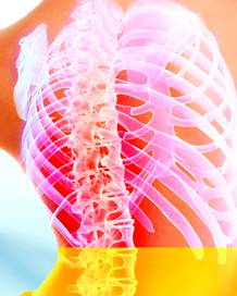 Beachside Chiropractic - Renee 0