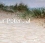 Coast Chiropractic Kawana - Swimm