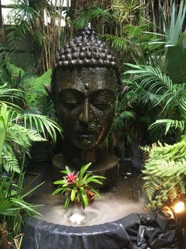 Nurseries Garden Centres Lennox Head NSW Qld Realsetate