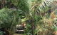 Trev’s Recycled Garden - thumb 1