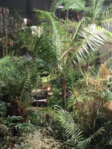 Trev’s Recycled Garden - Renee 1