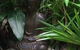 Trev’s Recycled Garden - thumb 2
