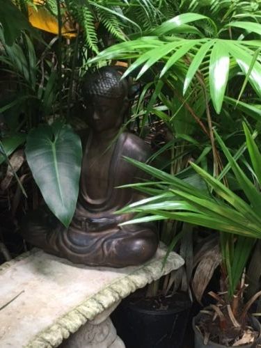 Trev’s Recycled Garden - Renee 2