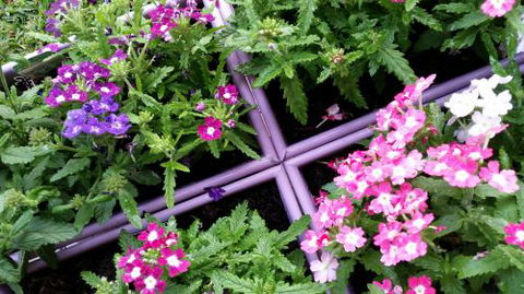 Port Garden & Hydroponics - Internet Find 2
