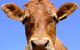 Kempsey Produce & Saddlery - thumb 1