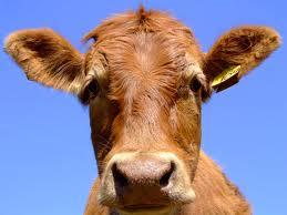 Kempsey Produce & Saddlery - Internet Find 1