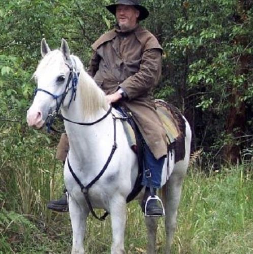 Horse Riding Cooranbong NSW Qld Realsetate