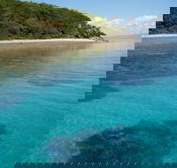 Remote Area Dive - Renee