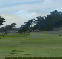 Melaleuca Golf Club - Renee