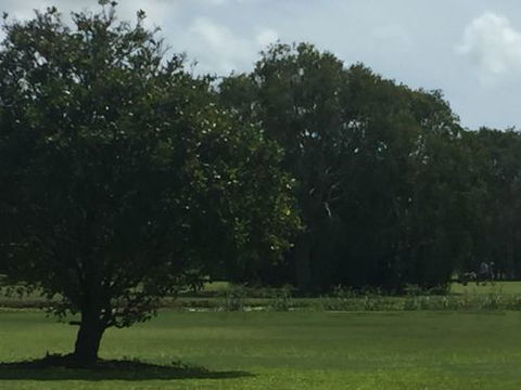 Melaleuca Golf Club - Renee 3