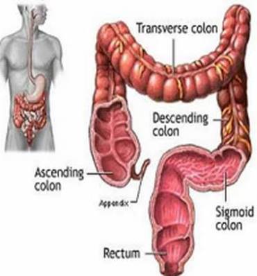 Colonics–Colon Hydrotherapy - Internet Find 1