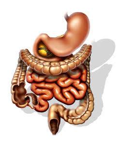 Colonics–Colon Hydrotherapy - Internet Find 3