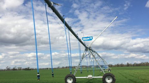 TEAM Irrigation - Renee 4