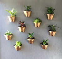 Shellcove Landscaping  Maintenance Pty Ltd - Renee