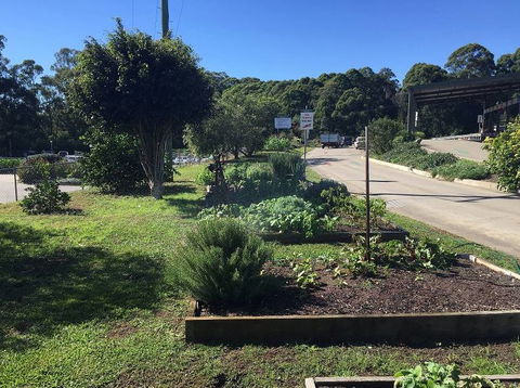 Biomass Solutions (Coffs Harbour) Pty Ltd - Internet Find 1