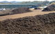 Biomass Solutions (Coffs Harbour) Pty Ltd - thumb 2