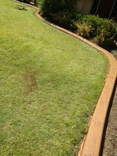 G-Dogs Garden Edging - Petrol Stations 0