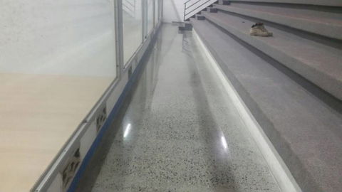 Pour & Polish Concrete Solutions - Renee 1