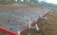 Pour & Polish Concrete Solutions - thumb 4