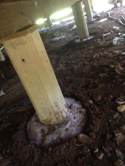 Mount Isa Pest Control - Internet Find 2