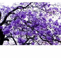 Clarence Valley Legal - Renee