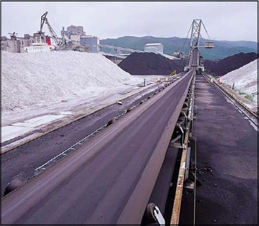 Conveyor Maintenance Services - Renee 0