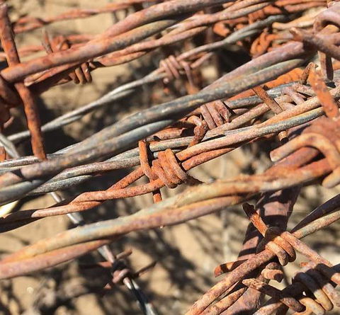 Rockhampton Metal Recyclers - Renee 2