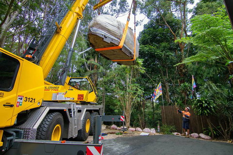 Universal Cranes Ballina - Swimm 1