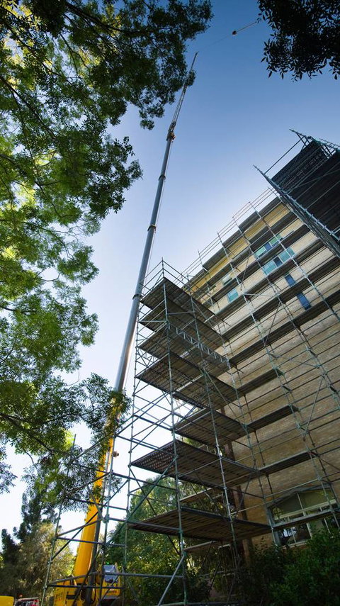 Universal Cranes Ballina - Swimm 7