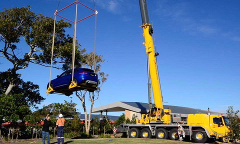 Universal Cranes Ballina - Swimm 14