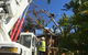 Clarke Mobile Crane Services - thumb 4