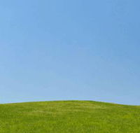 Bakers Beresfield Cremation  Burial Services - Renee
