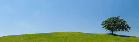 Baker’s Beresfield Cremation & Burial Services - Renee 0
