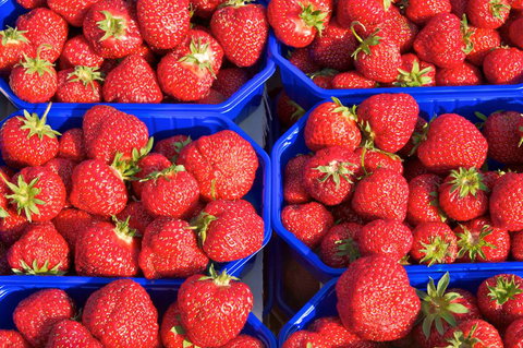 DJ’s Wholesale Fruit Market & Ezy Peel - Renee 3