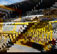 Tiger Touch Ups - Renee