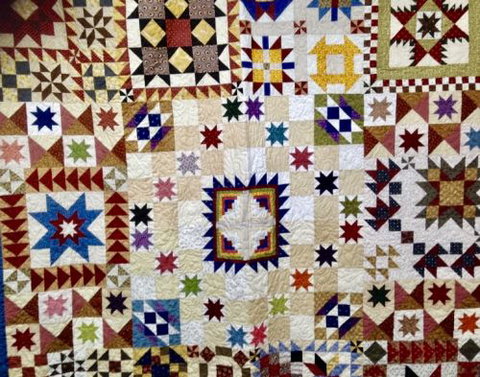 Busy Needles - Qld Realsetate 2