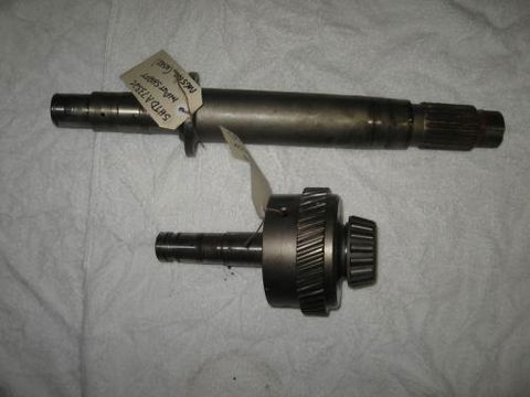 Cairns S.I.M. Trans - Renee 2