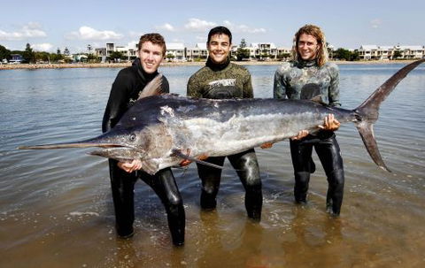 Spear & Fish Downunder - Internet Find 3